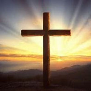 Meet your Posher, Taya